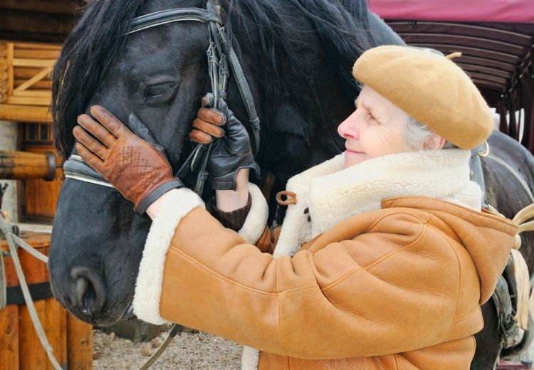 Thérapie par le cheval : une approche douce pour les seniors - Heyme